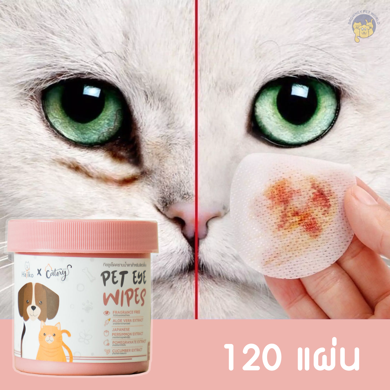 Hajiko X Catory ทิชชูเปียกเช็ดคราบน้ำตา *อ่อนโยน *ปลอดภัย *ยับยั้งเชื้อแบคทีเรีย