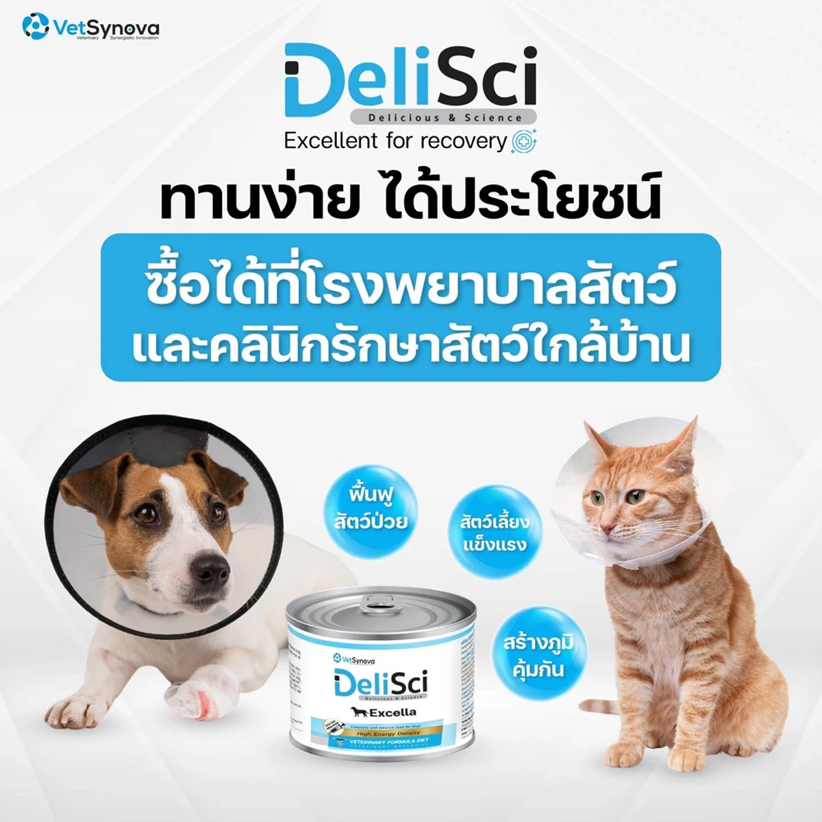 DeliSci : Excella อาหารฟื้นฟูสําหรับสัตว์ป่วย ขาดสารอาหาร และพักฟื้นหลังการผ่าตัด ที่ต้องการพลังงานสูง ขนาด 185g