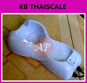 เครื่องนวดหน้าไครโอเย็นมือถือ Spa Beauty Transmit