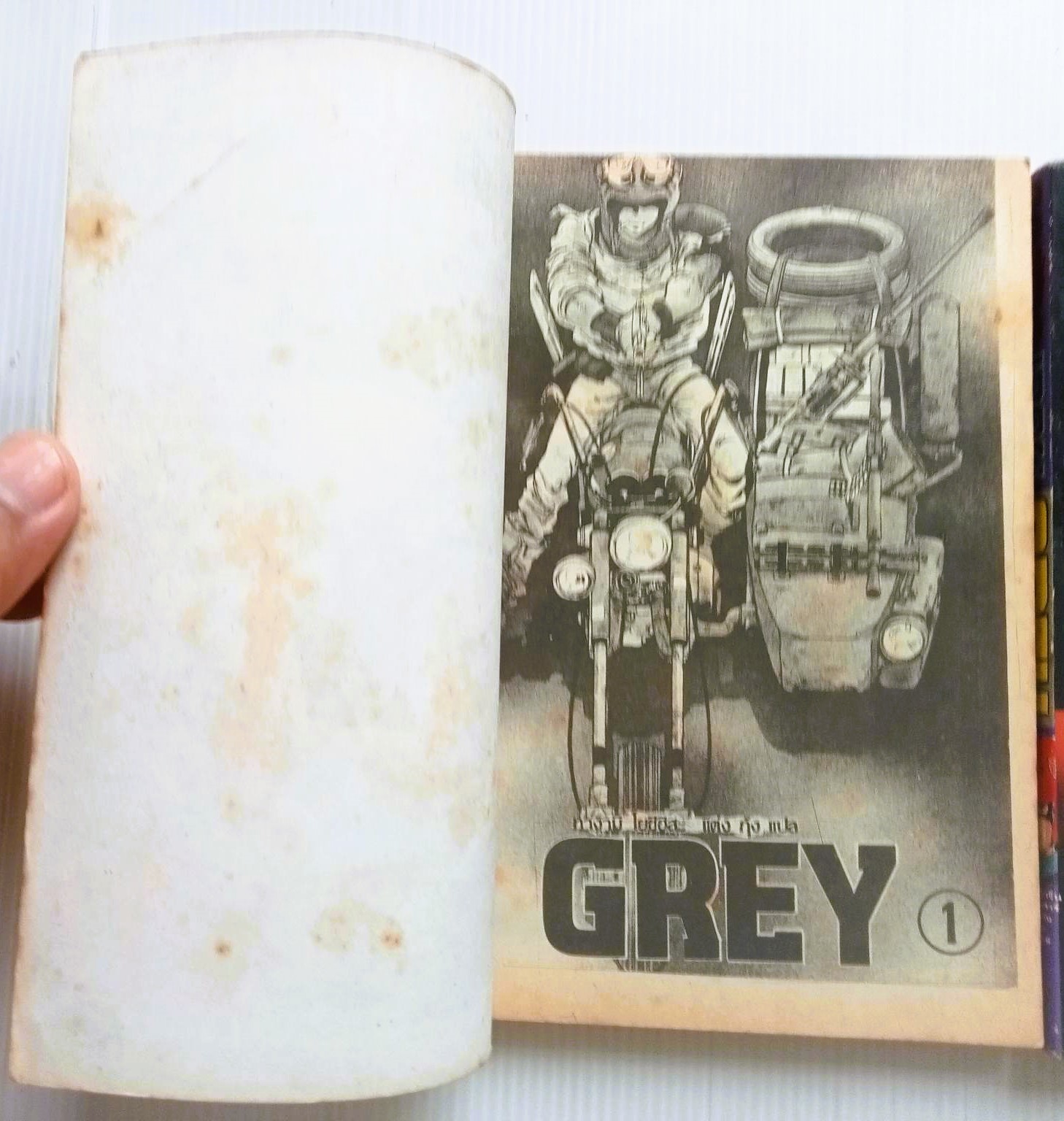 เกรย์ GREY