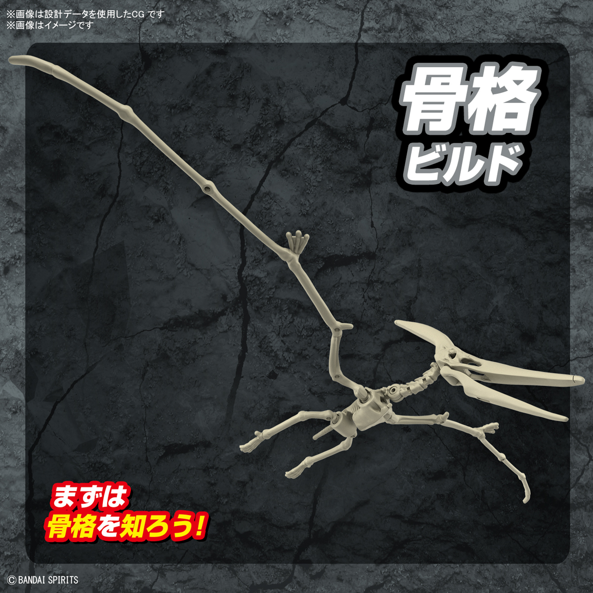<Preorder ปิดรับวันที่30/9/2023 >🔔เปิดรับPreorder ไม่ต้องมัดจำครับ planosaurus pteranodon