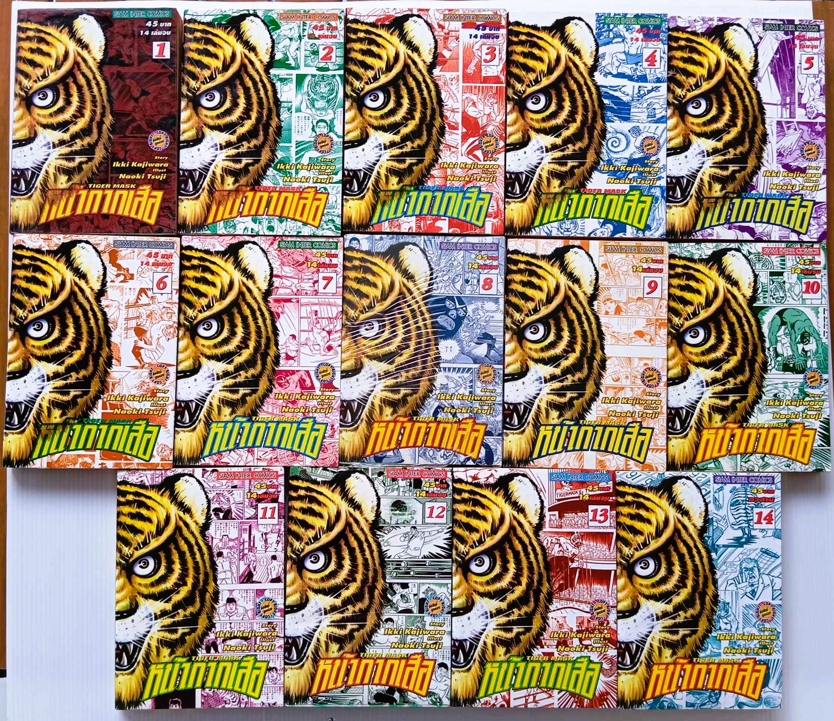 หน้ากากเสือ