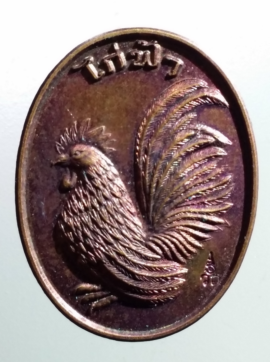 antig FB 204 เหรียญไก่ฟ้า หลวงปู่สรวง วัดถ้ำพรหมสวัสดิ์ จังหวัดลพบุรี รุ่นรวยทวีคูณ สร้างปี 2559 พระรายการนี้ให้เช่าบูชาแล้ว