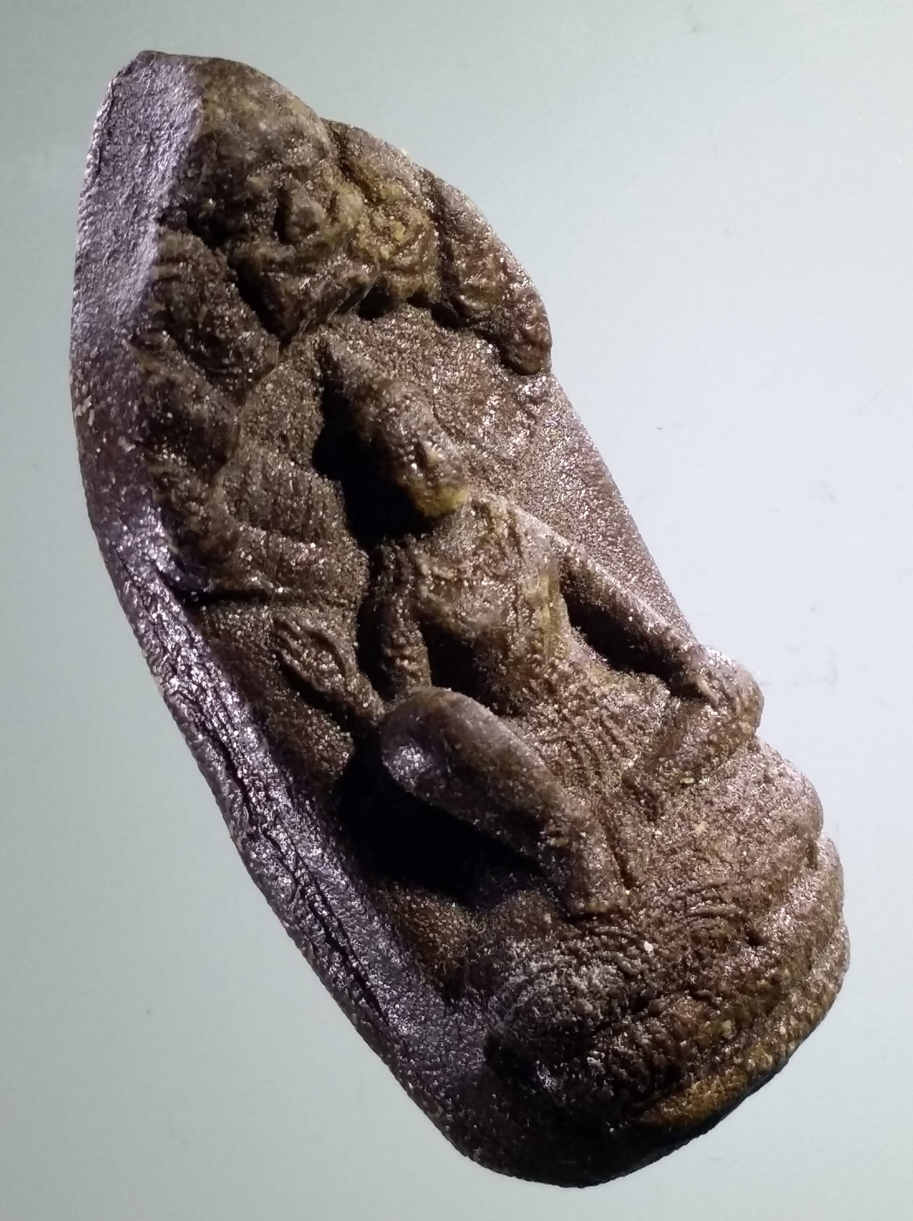 รหัสสินค้า จตุคามรามเทพ 418 พระเทวราชโพธิสัตว์จตุคามรามเทพ เนื้อว่านฝังตะกรุด 5 ดอก กด Code 5 ตัว ไม่ทราบสำนัก