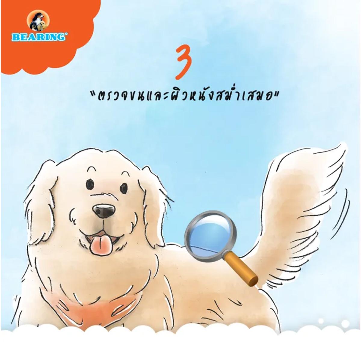 BEARING Beauty Lotion for Dog & Cat สเปรย์บำรุงขนสุนัขและแมว บำรุงขนสวย ให้ผิวแข็งแรง ขนนุ่ม ลื่น ไม่พันกัน 250ml