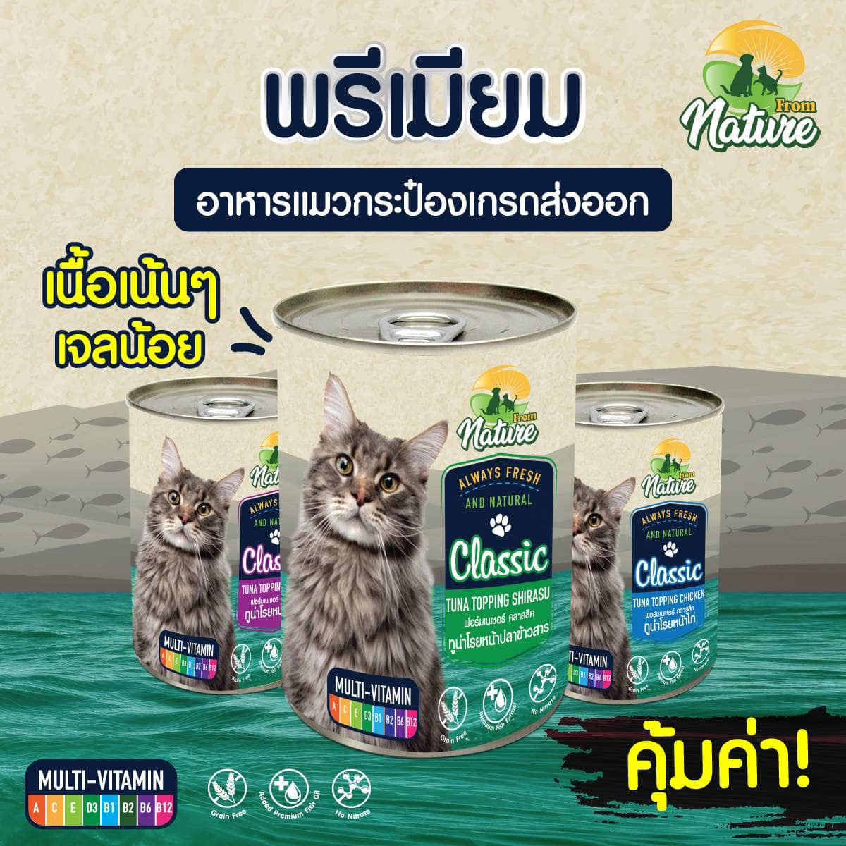 FROM NATURE อาหารกระป๋องเนื้อเยลลี่ สำหรับแมวทุกวัย ขนาด 400g