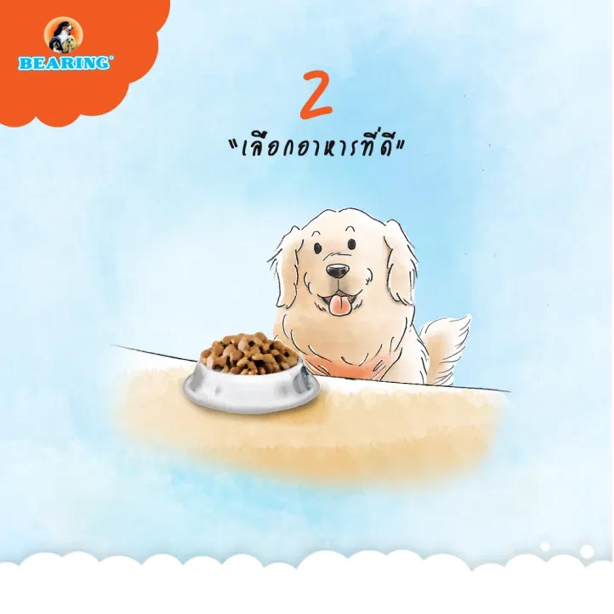 BEARING Beauty Lotion for Dog & Cat สเปรย์บำรุงขนสุนัขและแมว บำรุงขนสวย ให้ผิวแข็งแรง ขนนุ่ม ลื่น ไม่พันกัน 250ml