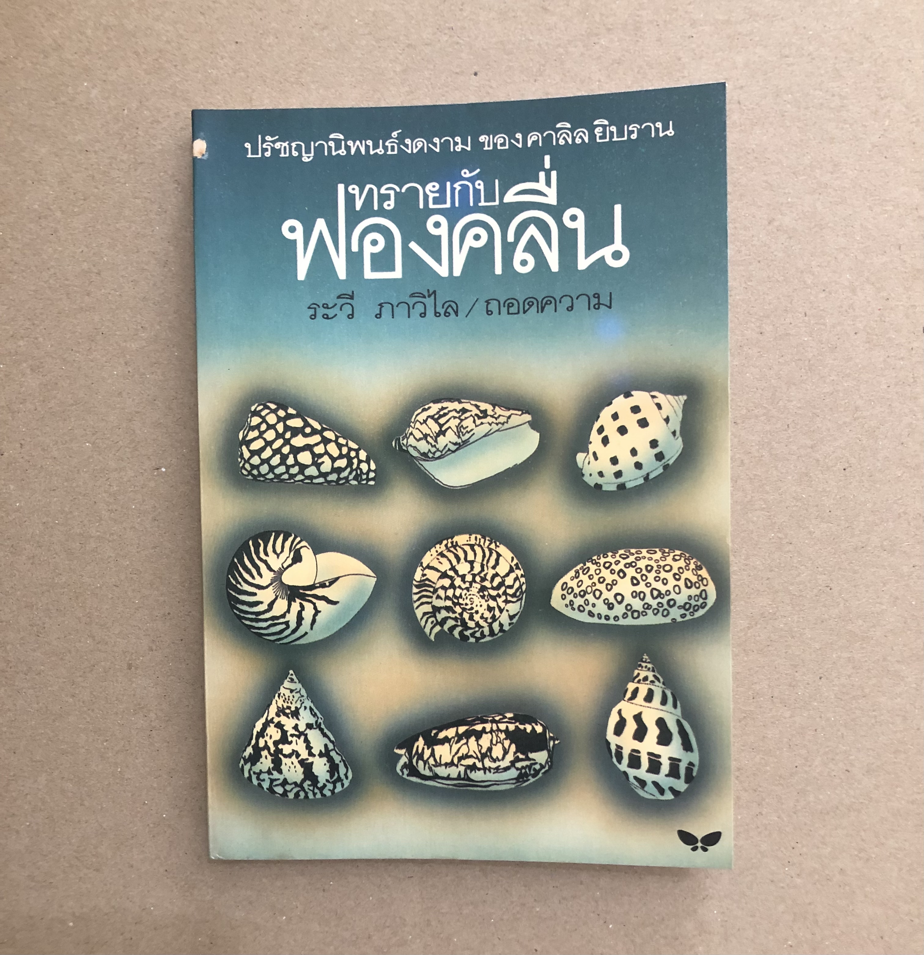 ทรายกับฟองคลื่น (Sand and Foam)