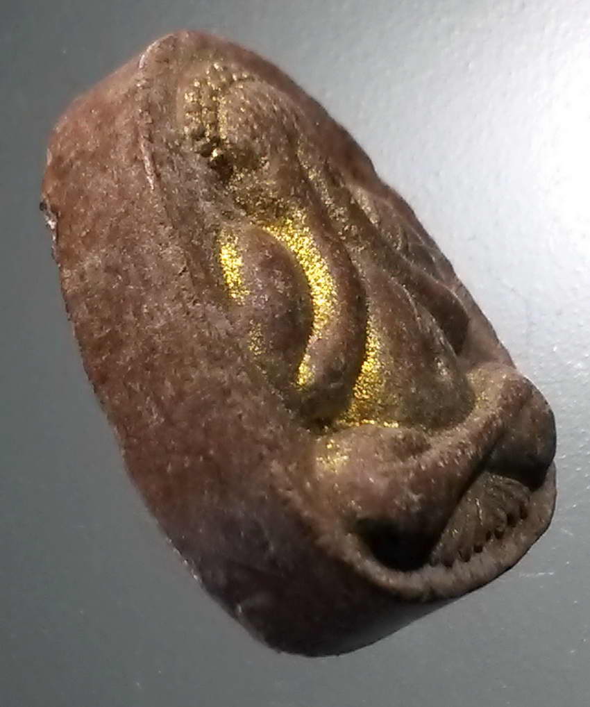 รหัสสินค้า พระไม่ทราบที่ 510 พระปิดตาเนื้อผงทาทองบรอนซ์ หลังยันต์ใบพัด ไม่ทราบที่