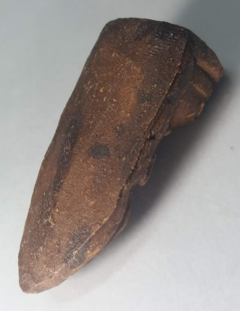 รหัสสินค้า พระกรุ 041 พระเนื้อดิน ทางภาคเหนือ น่าจะเป็นพระกรุ ครับ