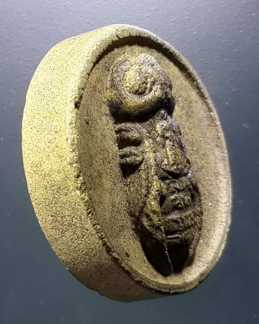 รหัสสินค้า พระไม่ทราบที่ 443 พญาต่อเนื้อผง ไม่ทราบที่