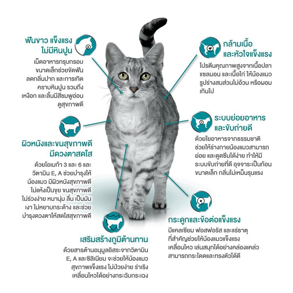 Purina One อาหารแมว เพียวริน่าวัน ขนาด 380-400G