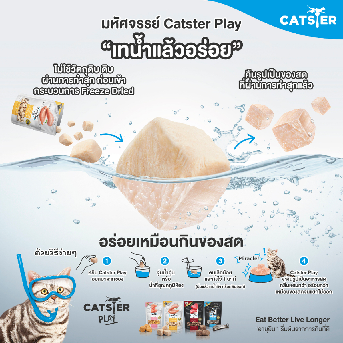 Catster Play ขนมแมว ท็อปปิ้งฟรีซดรายแมว 40Gx6ซอง