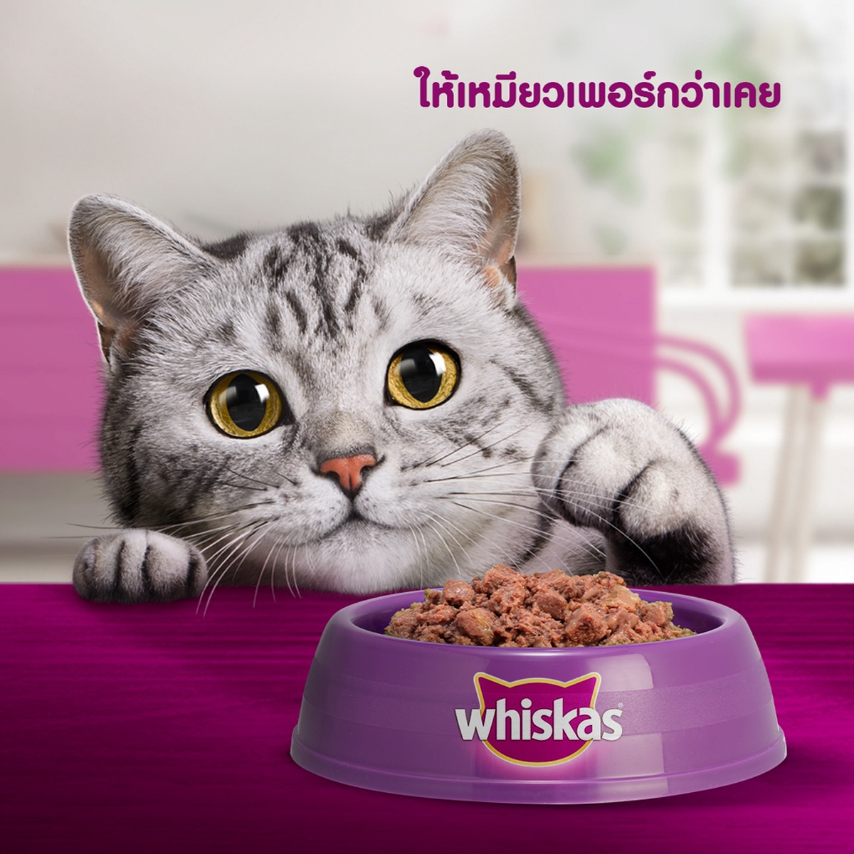 WHISKAS วิสกัส อาหารแมวชนิดเปียก เพาซ์มัลติแพค ขนาด 80 กรัม X 12 ซอง