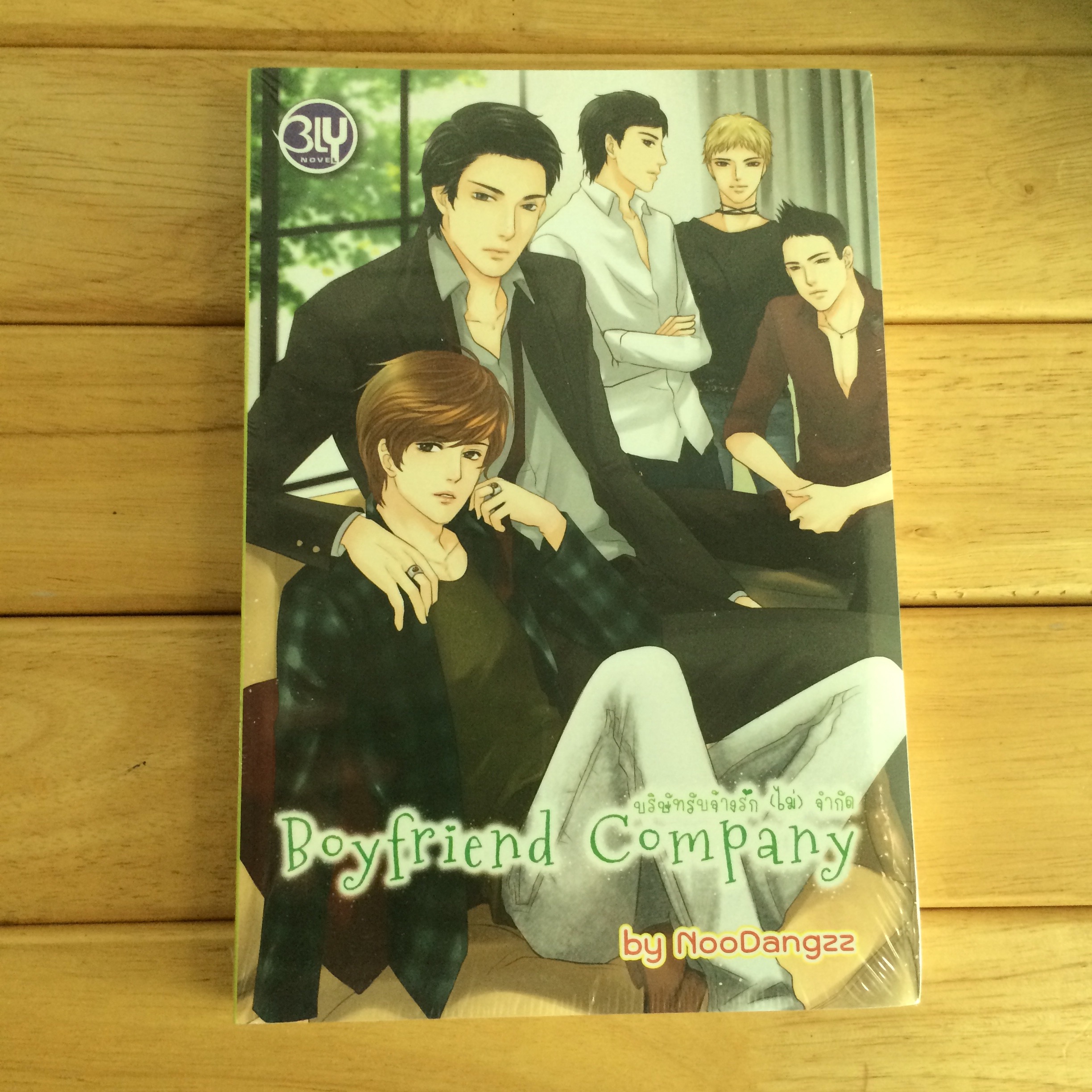 บริษัทรับจ้างรัก (ไม่) จำกัด - หนังสือใหม่