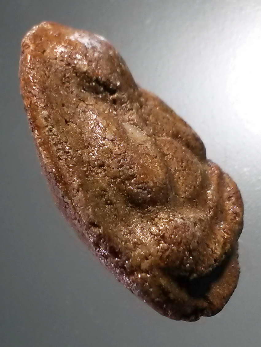 รหัสสินค้า พระไม่ทราบที่ 512 พระปิดตาเนื้อผง ผสมว่าน เคลือบแลคเกอร์ ไม่ทราบที่ พระรายการนี้ให้เช่าบูชาแล้ว