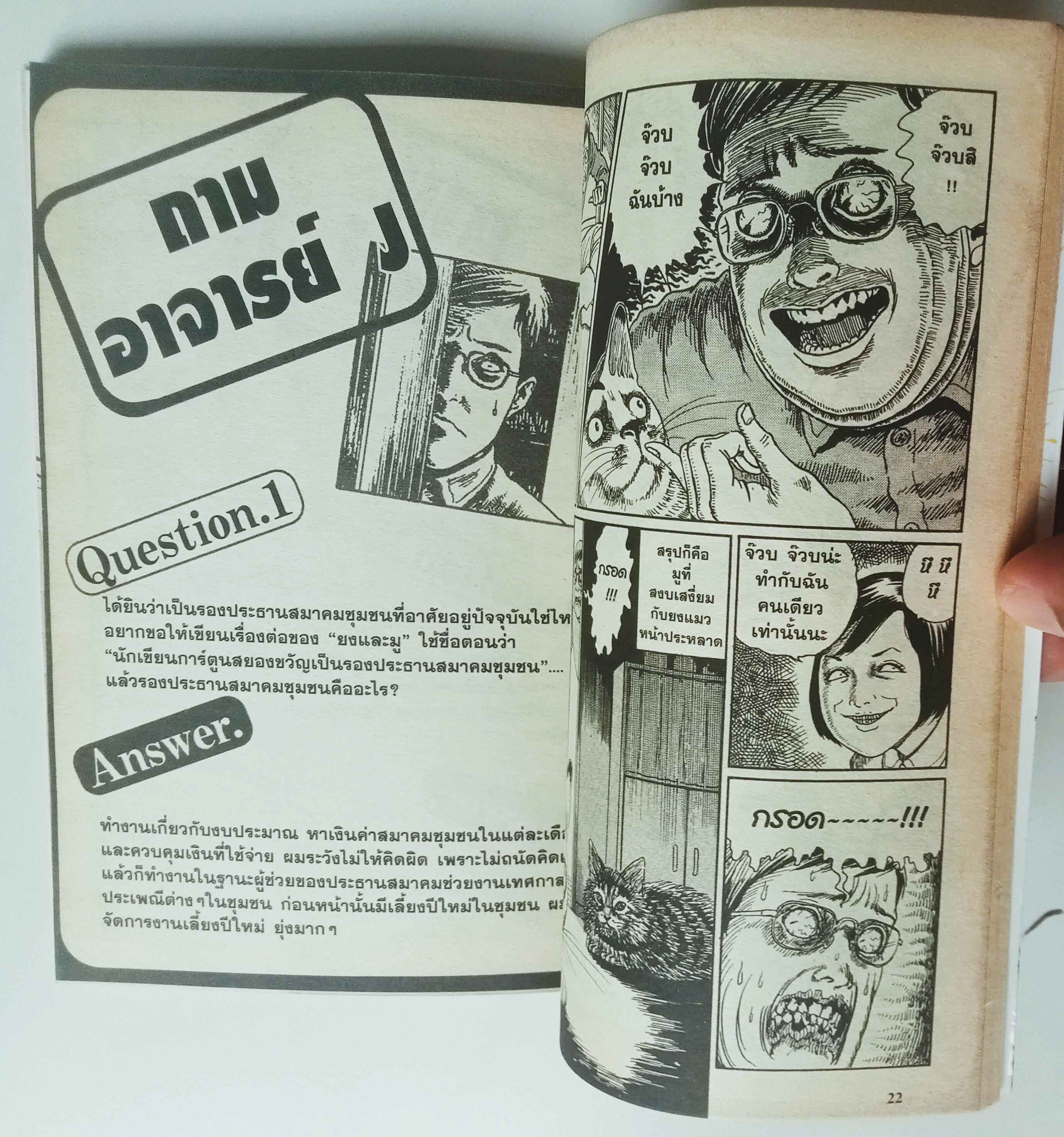 บันทึกน้องเหมียวของ จุนจิ อิโต