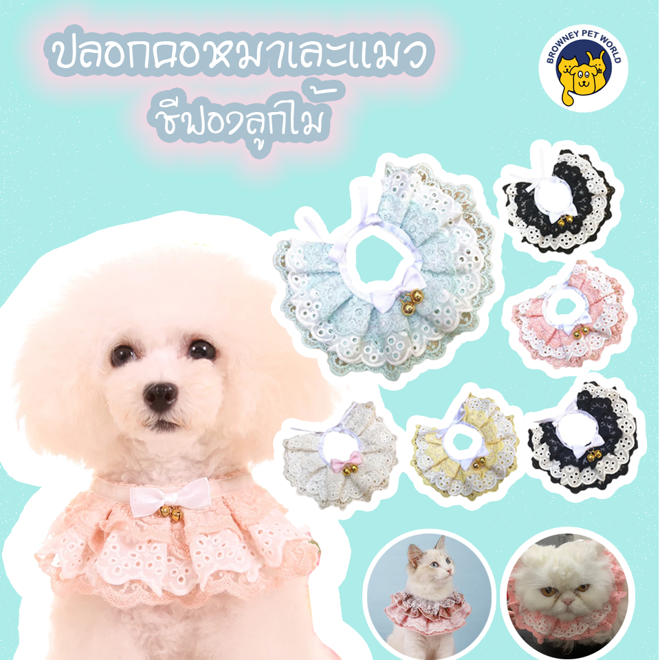 ปลอกคอลูกไม้ สำหรับแมว