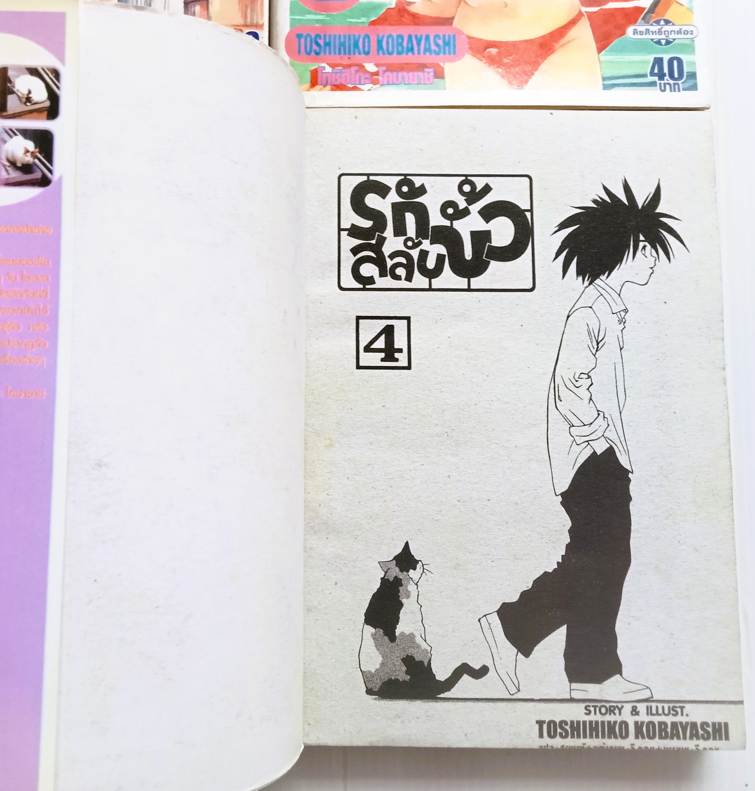 รักสลับขั้ว