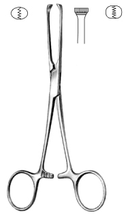 ALLIS TISSUE FORCEP