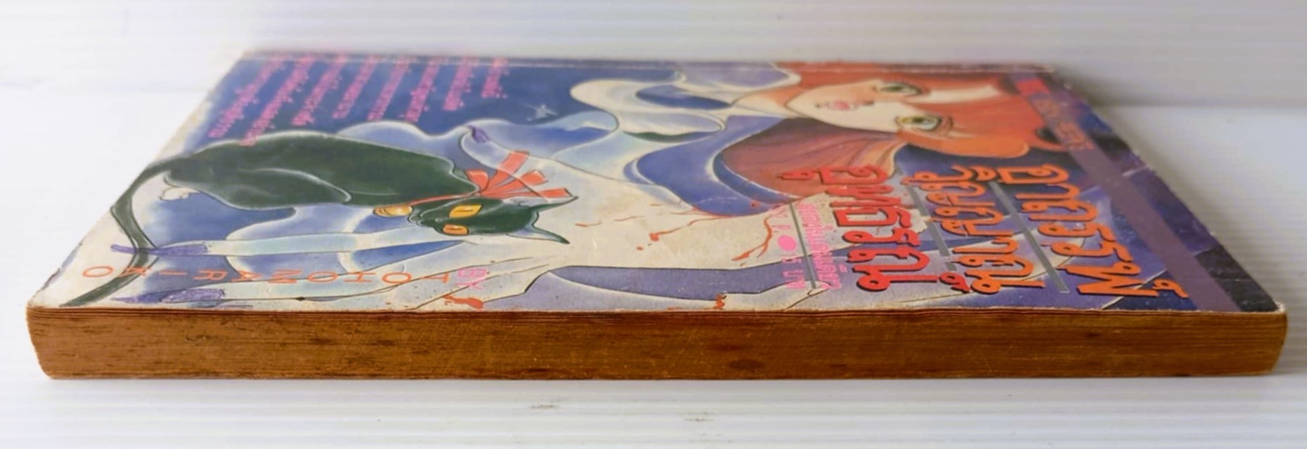 อาถรรพ์วิญญาณอุทธรณ์