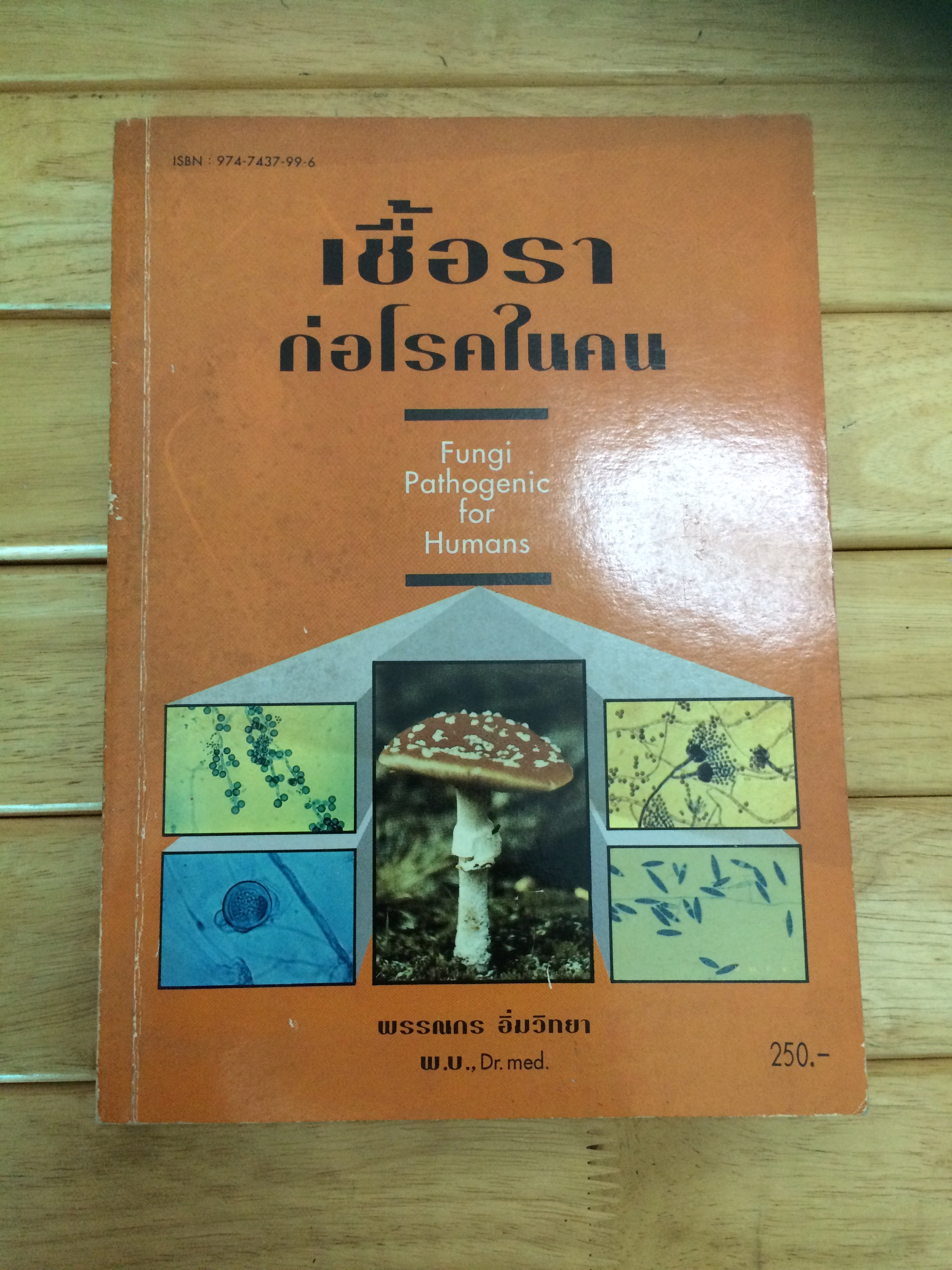 เชื้อราก่อโรคในคน พรรณกร อิ่มวิทยา (Text)