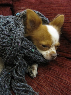 ไหมพรมนอกรุ่นปุ่ม Bumpy