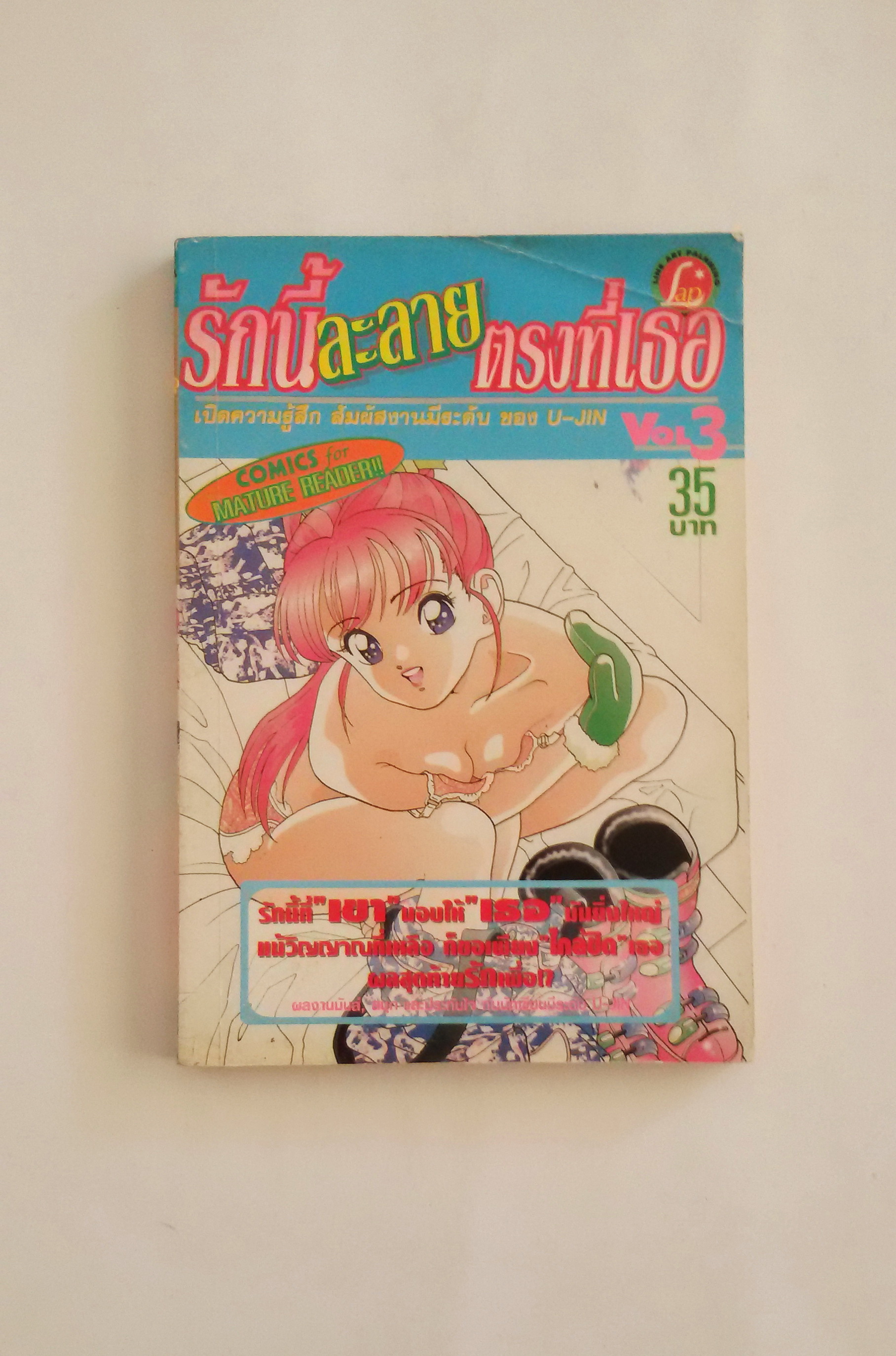 รักนี้ละลายตรงที่เธอ เล่ม 3