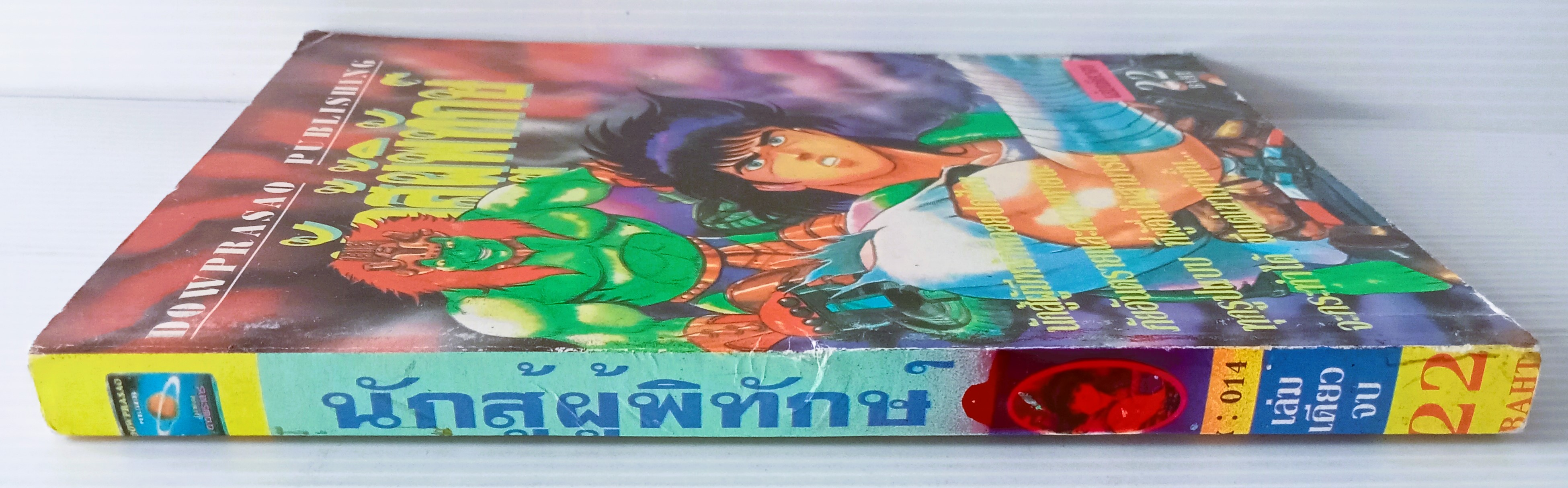 นักสู้ผู้พิทักษ์