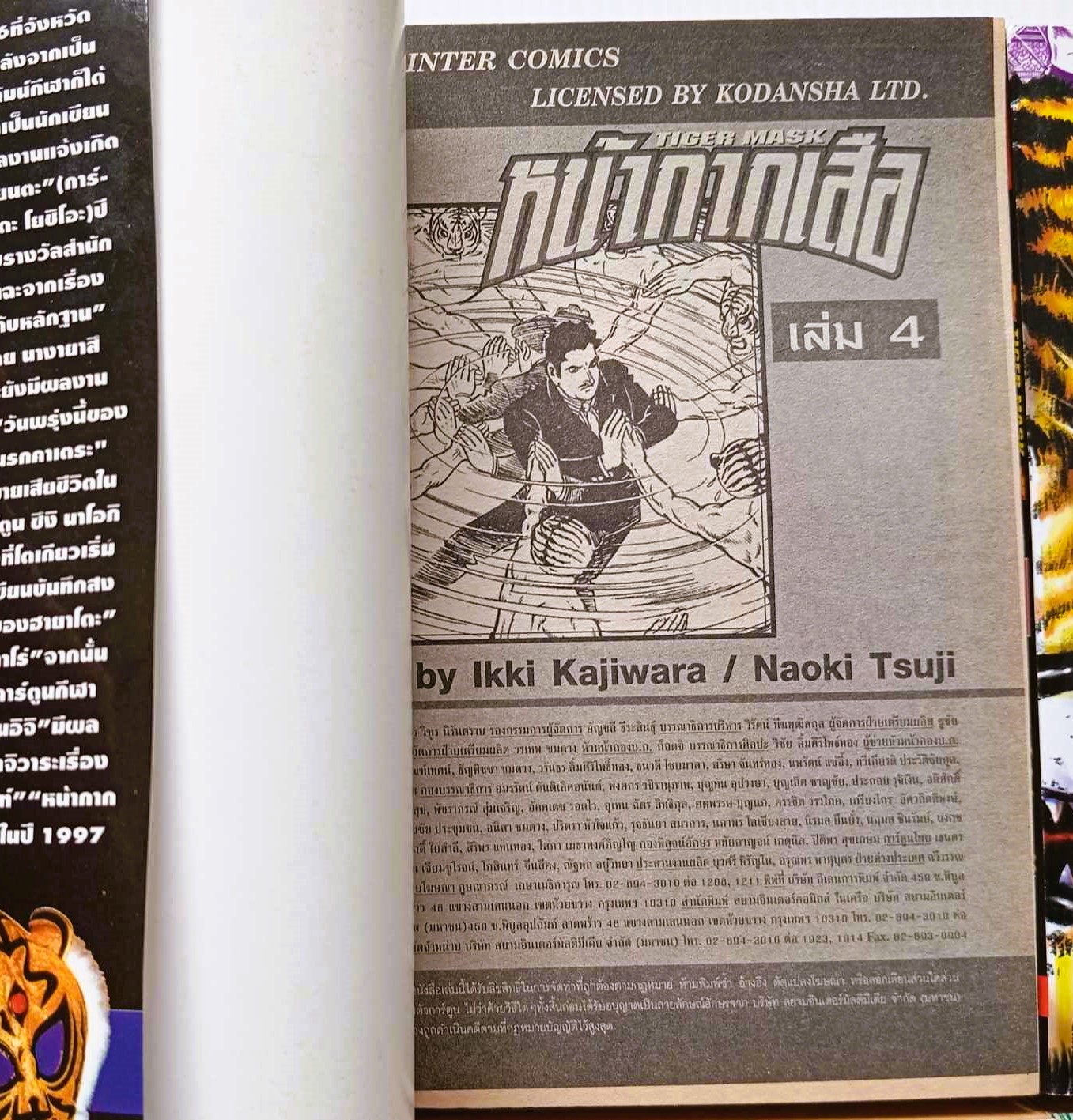 หน้ากากเสือ