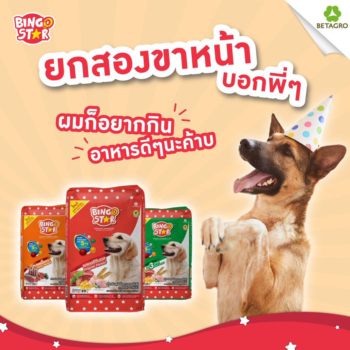 Bingo Star บิงโก สตาร์ อาหารเม็ดสำหรับสุนัข ขนาด 10 กิโลกรัม