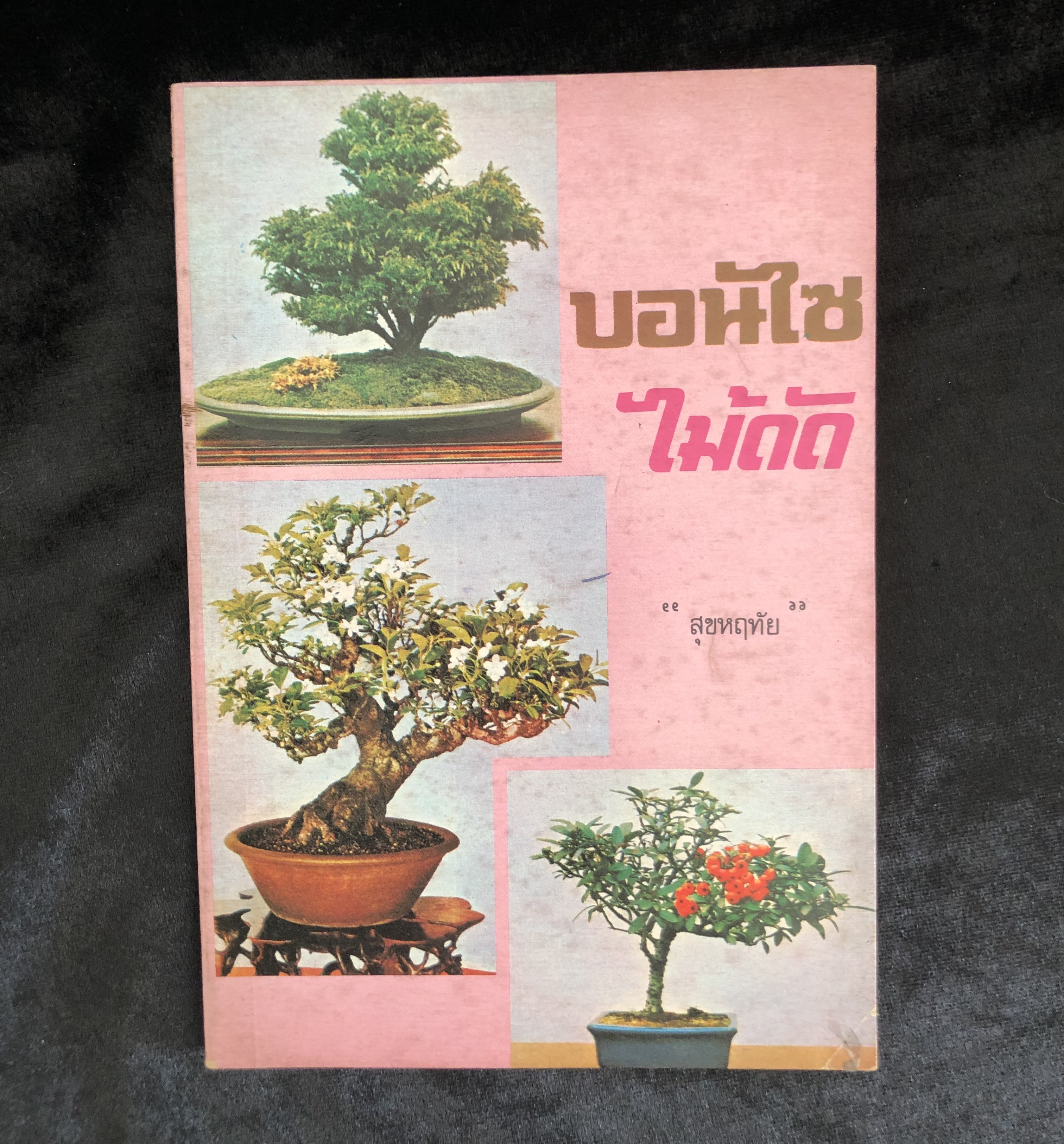 บอนไซ ไม้ดัด