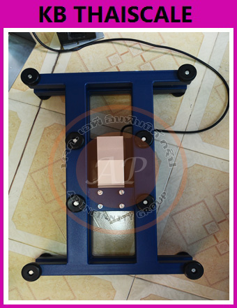 ตาชั่งดิจิตอล เครื่องชั่งกันน้ำ 30กิโลกรัม ความละเอียด 5 กรัม รุ่น BBA211-5BA30 ยี่ห้อ Mettler Toledo(ประเทศสวิตเซอร์แลนด์)