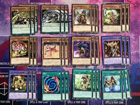 DP27 Amazoness Set