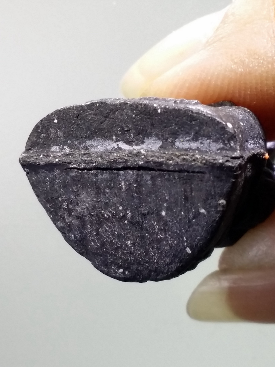 รหัสสินค้า หลวงปู่ทวด วัดต่างๆ 480 รูปหล่อลอยองค์ เนื้อผงใบลาน หลวงพ่อทวด ออกวัดปทุมทอง