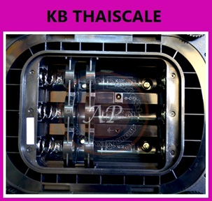 ตาชั่งดิจิตอล เครื่องชั่งดิจิตอล เครื่องชั่งกันน้ำ 5000g ความละเอียด1g AND SK-5001WP ขนาดจานชั่ง 23.2x19.2cm.( MADE IN JAPAN )