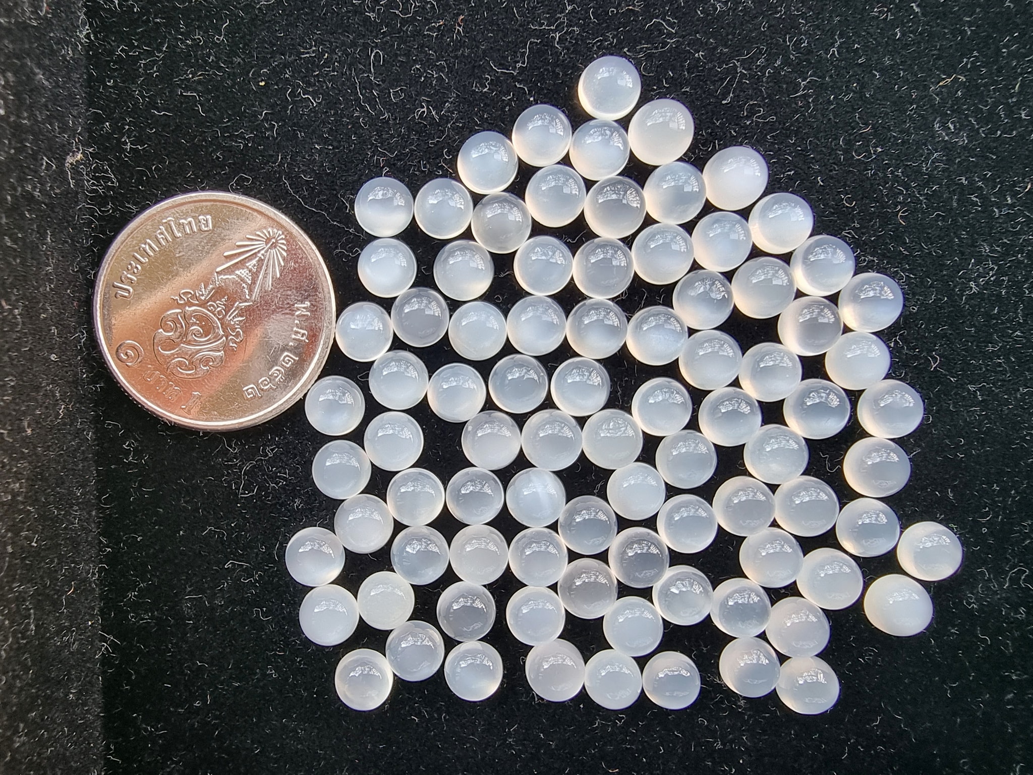 มูนสโตนกลมหลังเบี้ย 5.0 mm. 5 กะรัต