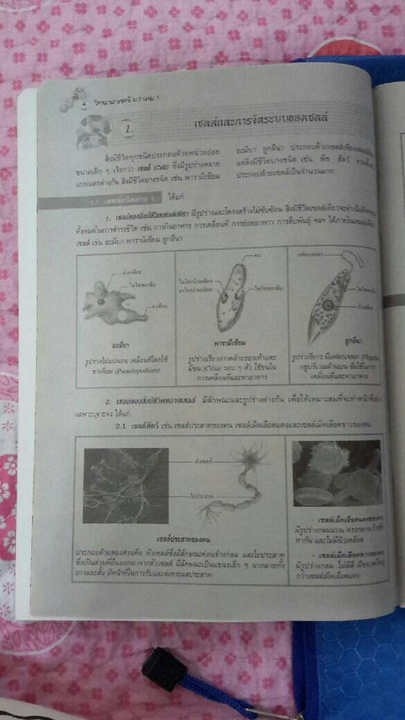 หนังสือสื่อการเรียนรู้และเสริมสร้างทักษะตามมาตรฐานและตัวชี้วัด กลุ่มสาระการเรียนรู้วิทยาศาสตร์ ชั้น ม.1 เล่ม 1 สำนักพิมพ์นิยมวิทยา