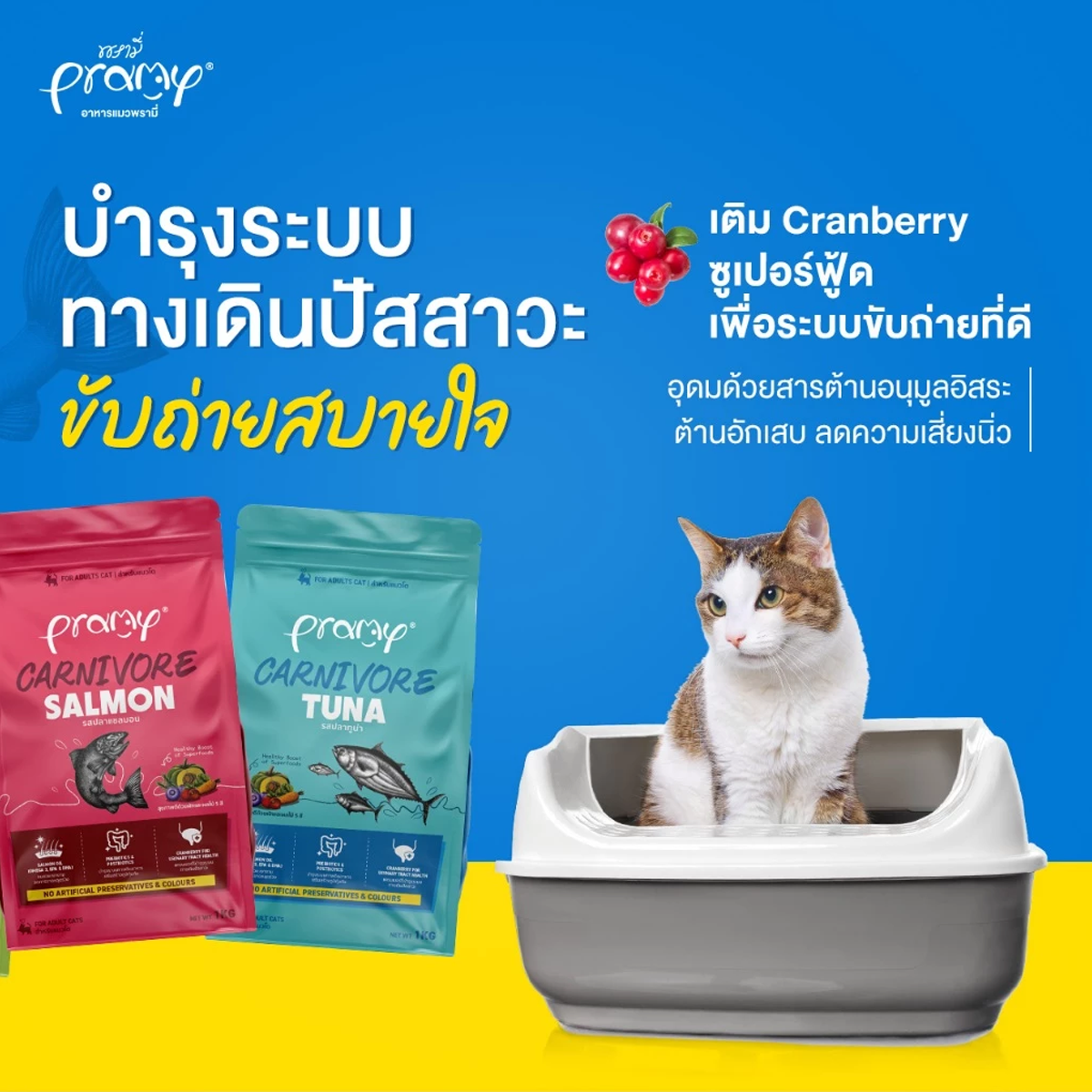 Pramy Carnivore อาหารเม็ดแมวพรามี่ สูตรเน้นเนื้อแท้ โปรตีนสูง เสริมสร้างสุขภาพแบบรอบด้าน ขนาด 1kg สำเนา