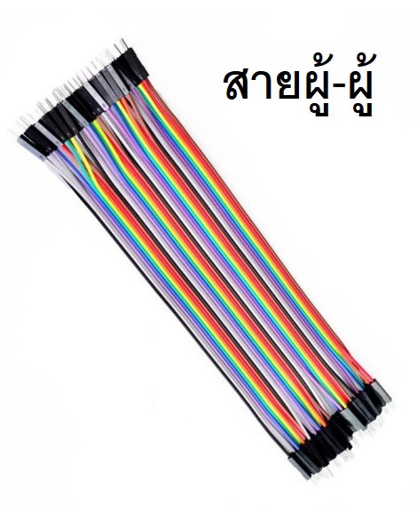 สายเเพร 10 cm ผู้-ผู้