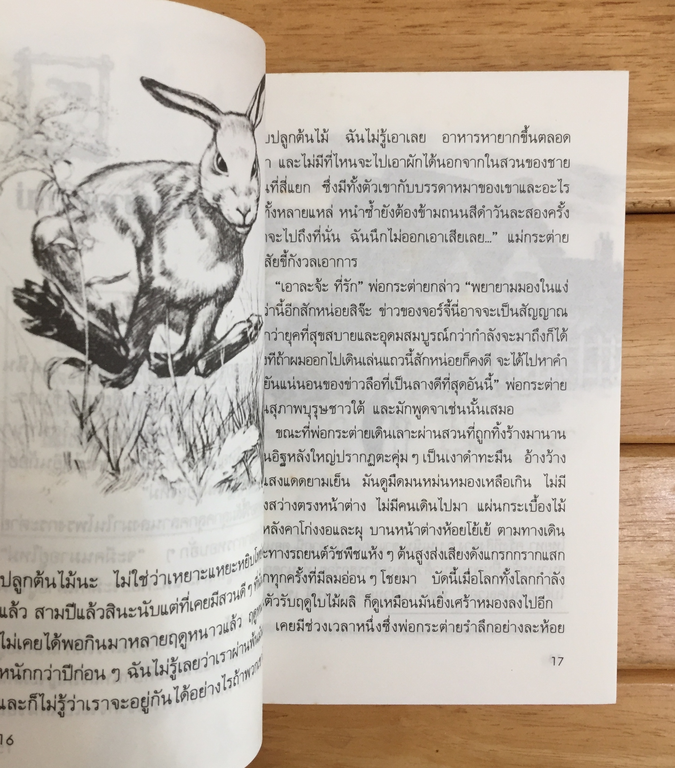 วันสุขสันต์บนเนินเขากระต่าย Rabbit Hill วรรณกรรมเยาวชนรางวัลนิวเบอรี