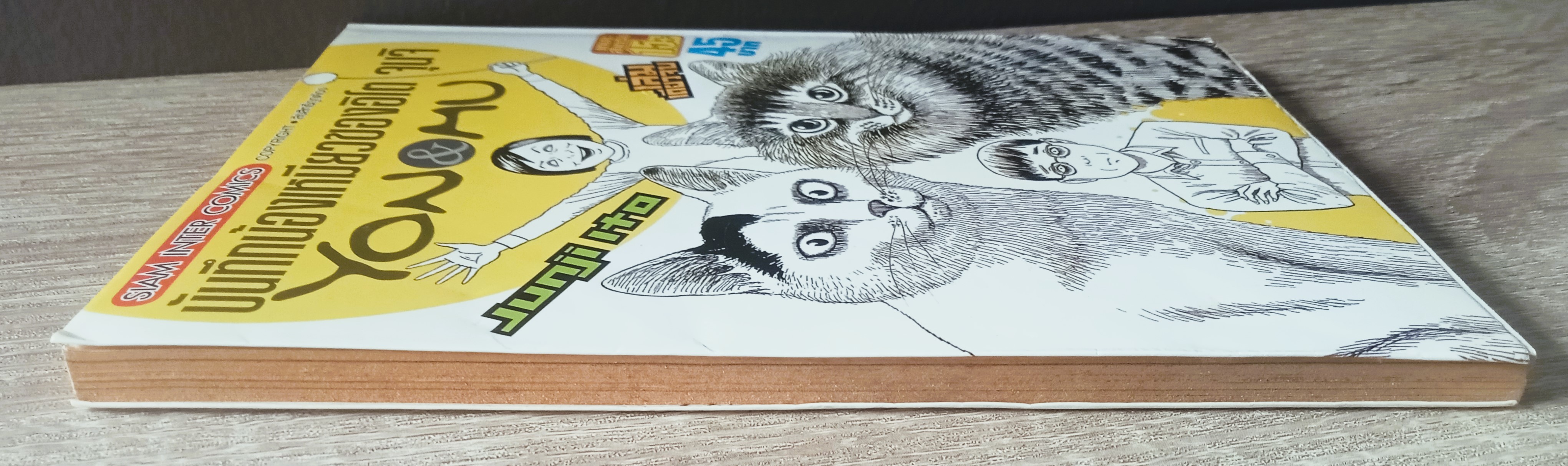 บันทึกน้องเหมียวของ จุนจิ อิโต