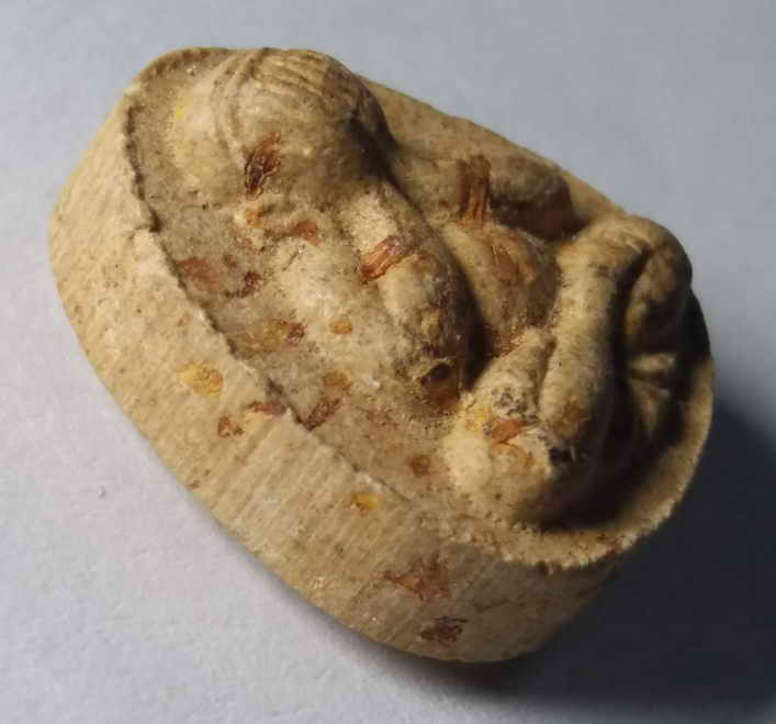 รหัสสินค้า พระปิดตา ทั่วไป 088 พระปิดตาเนื้อผงฝังตะกรุด ที่ระลึก 117 ปี การฝึกหัดครูไทย มหาวิทยาลัยราชภัฏพระนคร