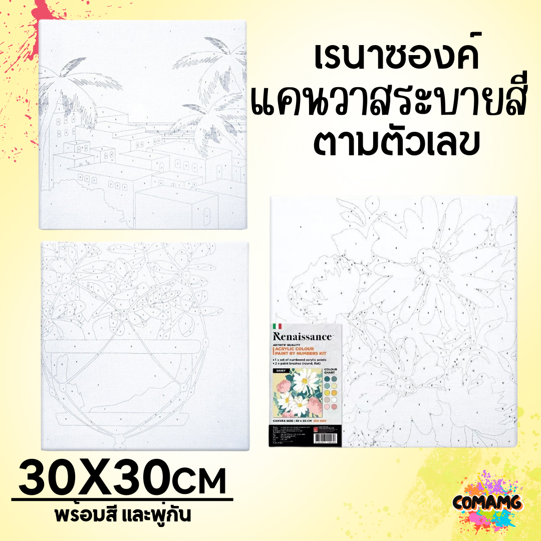Renaissance ชุดแคนวาส ชุดระบายสีตามเลข Paint by Number Kit Size 30x30 cm. พร้อมส่ง