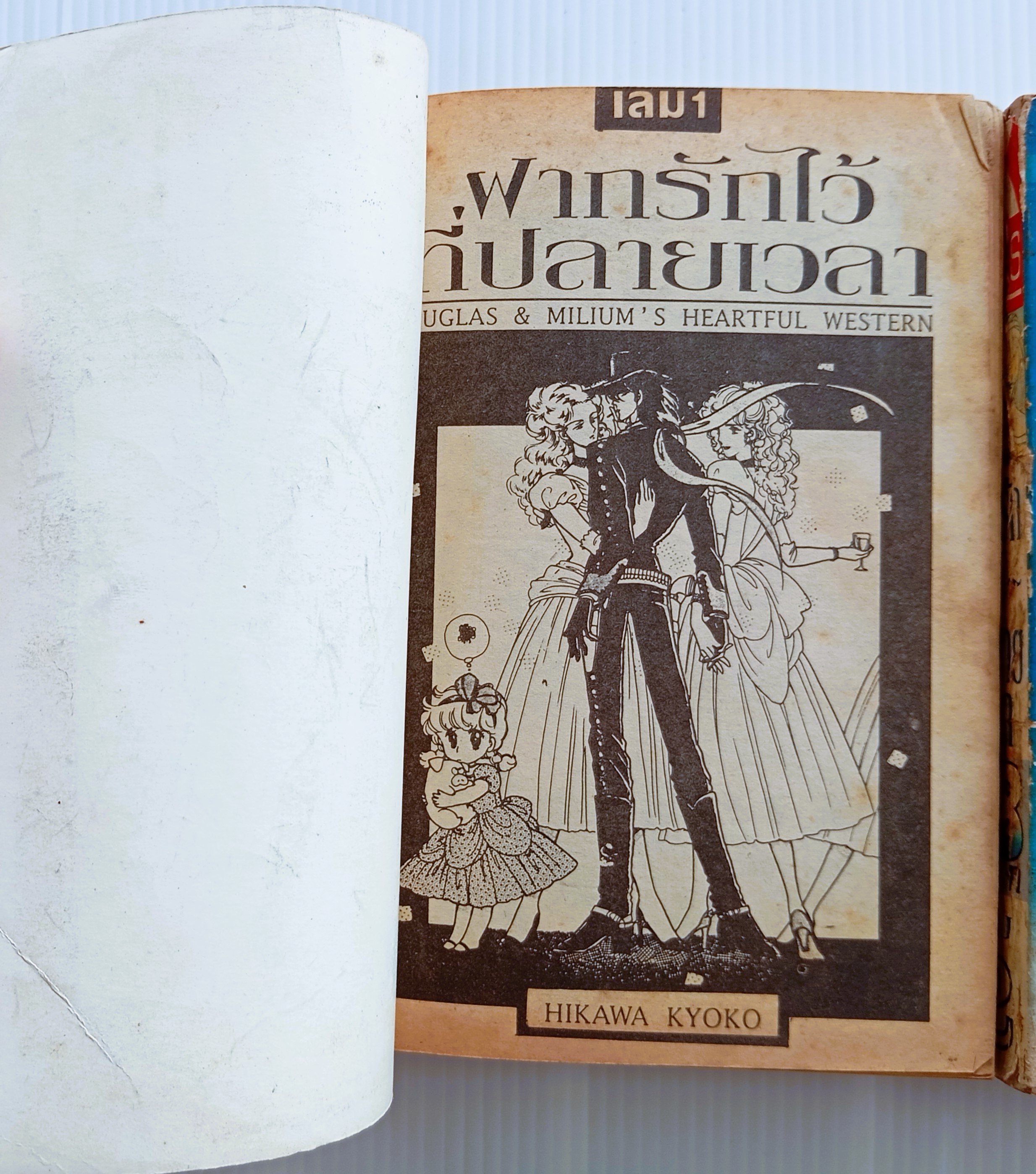 ฝากรักไว้ที่ปลายฟ้า