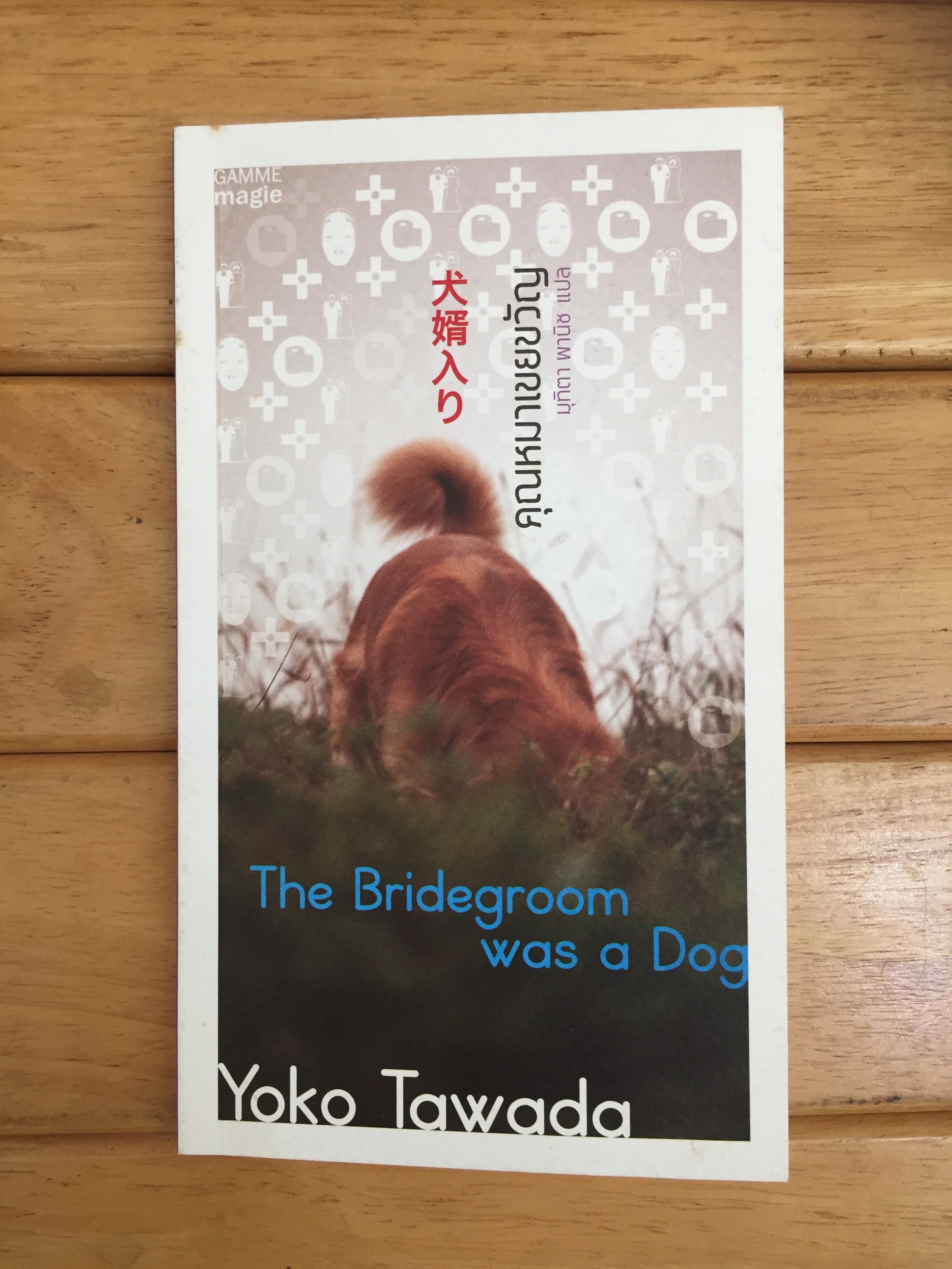 คุณหมาเขยขวัญ (The Bridegroom Was a Dog)