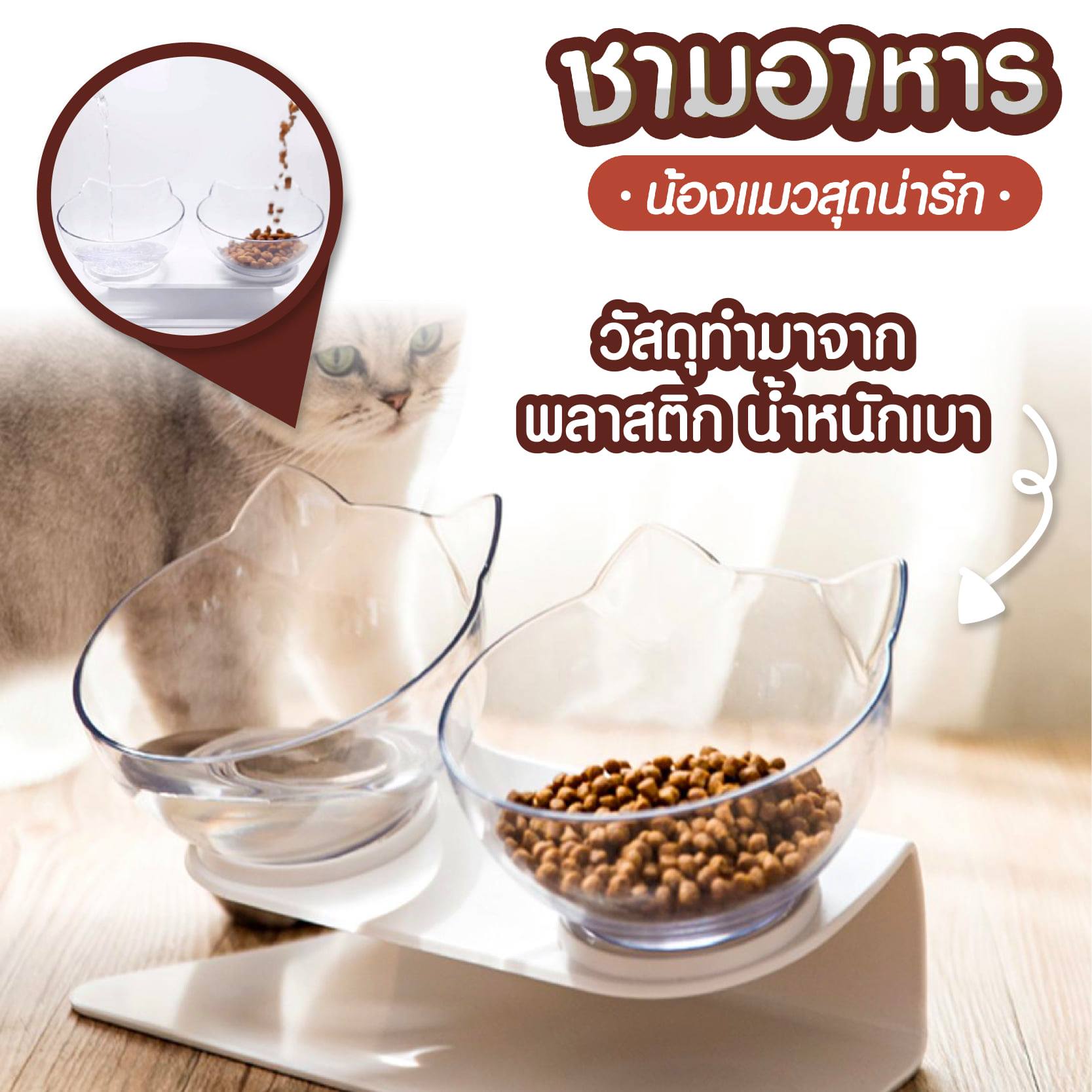 ชุดชามให้อาหารแมว แบบเอียง 15 องศา