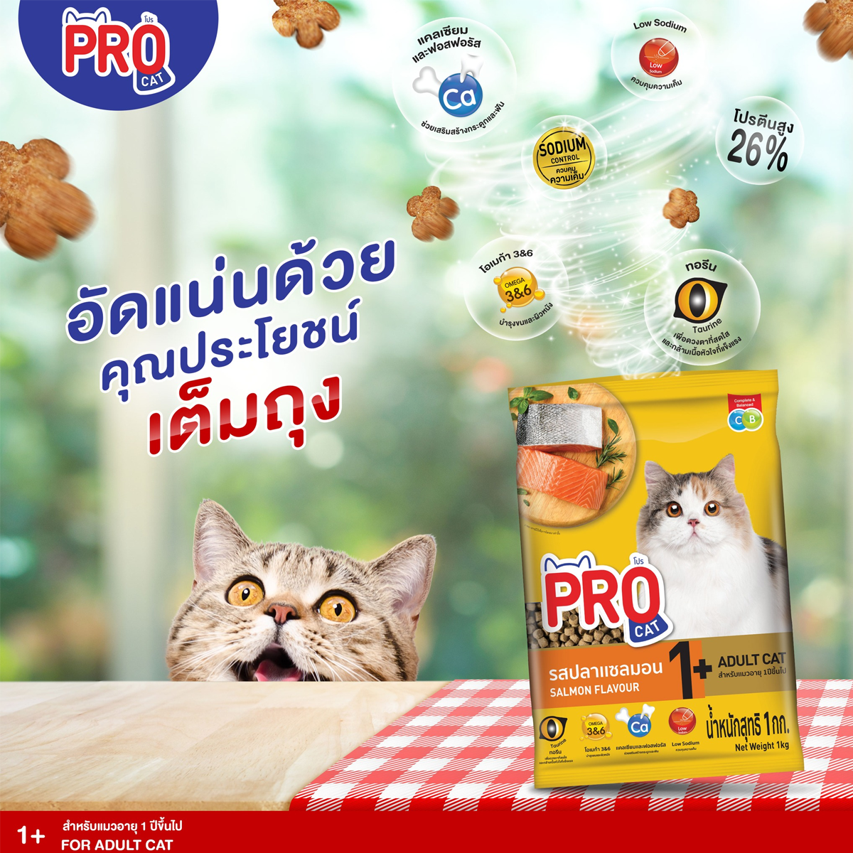 Pro cat โปรแคท อาหารแมว ชนิดเม็ด ขนาด 7 KG