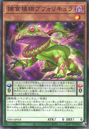 DIFO-JP018 Predaplant Bufollicula