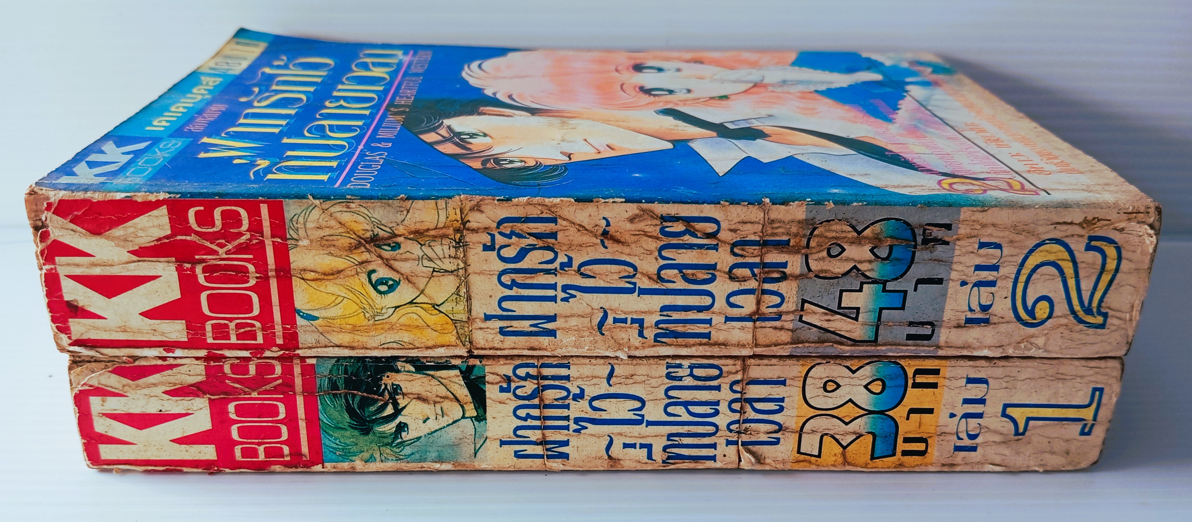 ฝากรักไว้ที่ปลายฟ้า